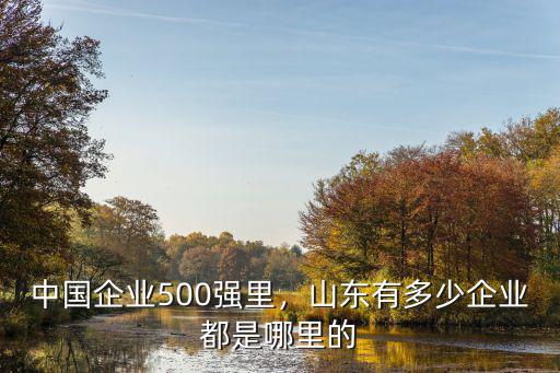 山東大型企業有多少,中國企業500強里