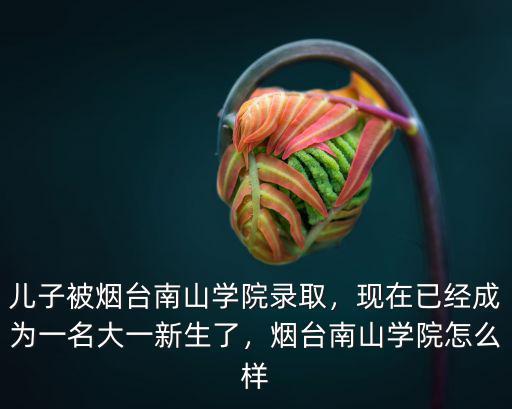 煙臺南山學院一天飯費多少錢,煙臺南山學院怎么樣