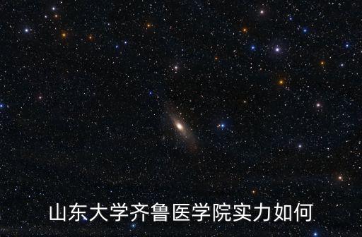 山東大學齊魯醫學院實力如何