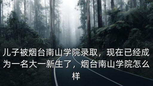 煙臺(tái)南山學(xué)院有多少教師,兒子被煙臺(tái)南山學(xué)院錄取