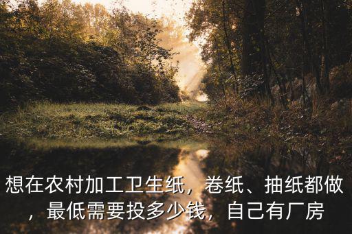 想在農村加工衛生紙，卷紙、抽紙都做，最低需要投多少錢，自己有廠房