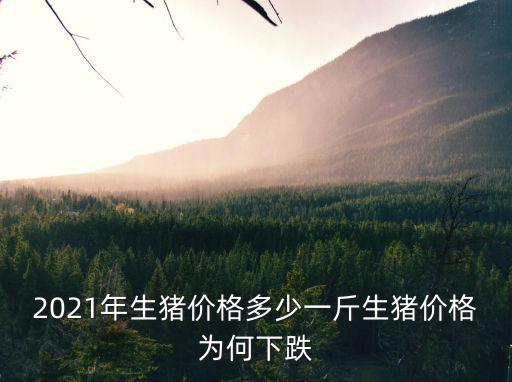 日照生豬價(jià)格多少,生豬價(jià)格為何下跌