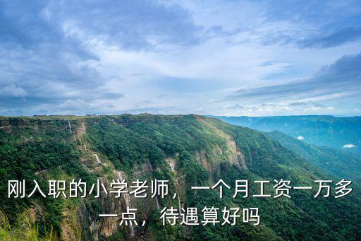 山東東明剛入職的小學老師工資多少錢,剛入職的小學老師