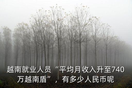 越南就業人員“平均月收入升至740萬越南盾”，有多少人民幣呢