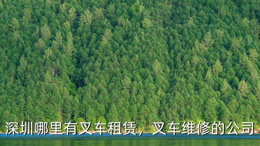 深圳哪里有叉車租賃，叉車維修的公司