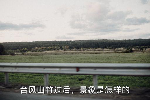 山竹臺風廣東香蕉受損有多少,臺風山竹過后