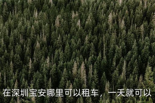 在深圳寶安哪里可以租車，一天就可以