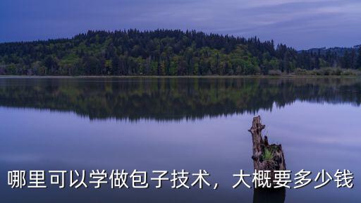 濱州學(xué)習(xí)水煎包培訓(xùn)多少錢,包子技術(shù)培訓(xùn)多少錢