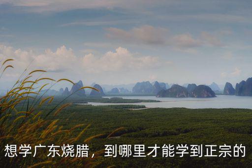 廣東佛山市哪里可以學(xué)習(xí)燒臘,想學(xué)廣東燒臘