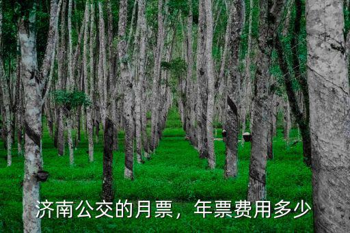 濟(jì)南三人年票多少錢,年票費(fèi)用多少