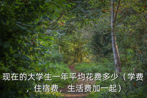 德州學院生活費一年多少,留學美國一年要花多少錢