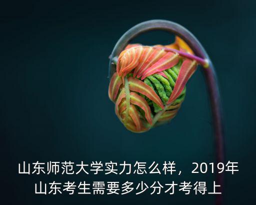 山東師范大學實力怎么樣，2019年山東考生需要多少分才考得上