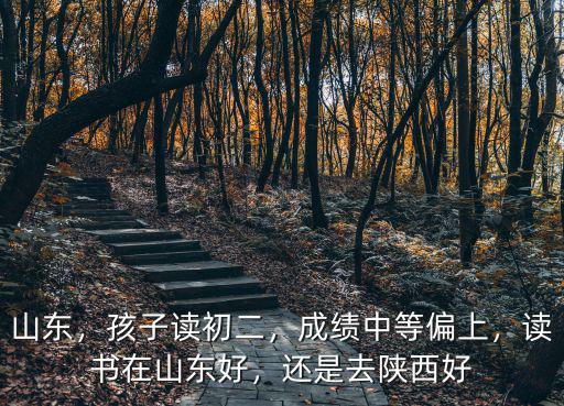 山東，孩子讀初二，成績(jī)中等偏上，讀書(shū)在山東好，還是去陜西好
