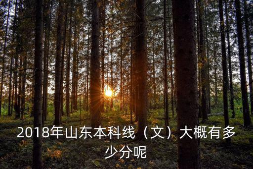 文科2018年山東本科分?jǐn)?shù)線是多少,大概有多少分呢