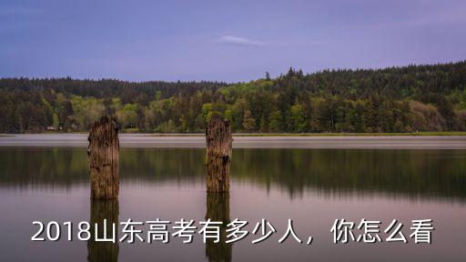 山東今年的考生多少人,今年山東考生為啥少