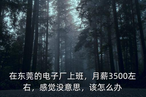 在東莞的電子廠上班，月薪3500左右，感覺沒意思，該怎么辦