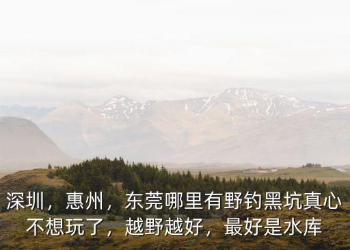東莞洪梅哪里釣翹嘴,東莞哪里有野釣