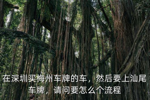 二手車深圳上梅州牌多少錢,在深圳買梅州車牌的車