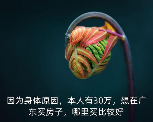 在廣東自住買房買哪里,哪里買比較好