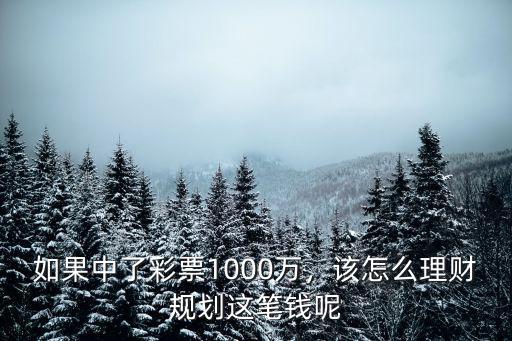 如果中了彩票1000萬，該怎么理財規劃這筆錢呢