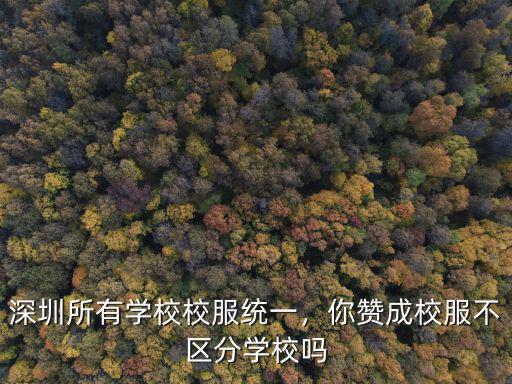 深圳校服效果怎么樣,如何評(píng)價(jià)深圳校服
