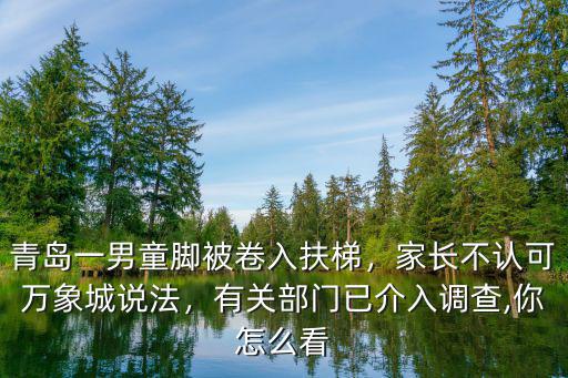 青島一男童腳被卷入扶梯，家長不認可萬象城說法，有關部門已介入調查,你怎么看