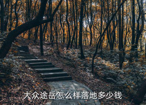 威海大眾途岳多少錢一臺,大眾途岳怎么樣