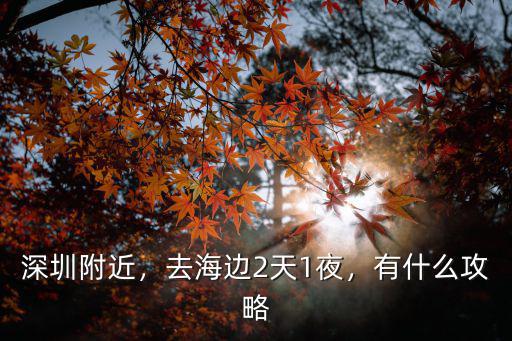深圳附近，去海邊2天1夜，有什么攻略