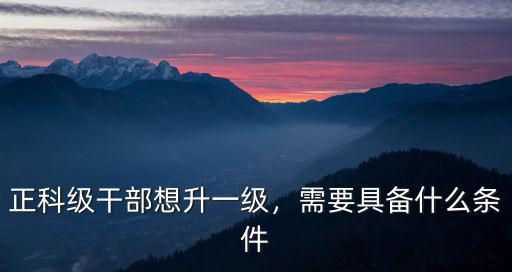 正科級干部想升一級，需要具備什么條件