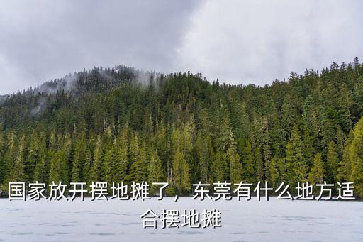 東莞哪里有可以擺攤的學校,東莞晚上在哪里擺地攤比較好