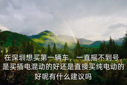 在深圳想買第一輛車，一直搖不到號，是買插電混動的好還是直接買純電動的好呢有什么建議嗎