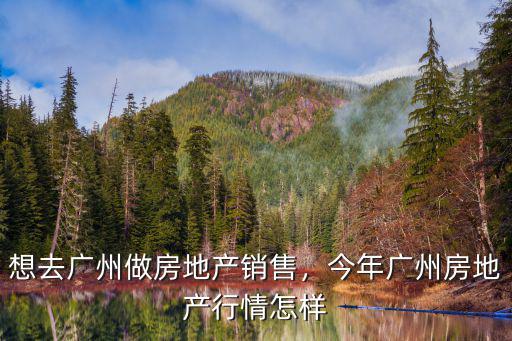 廣州賣房地產(chǎn)銷售員多少,想去廣州做房地產(chǎn)銷售