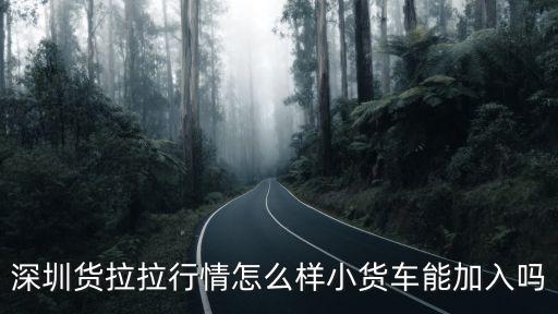 深圳貨拉拉收納員一天多少錢,貨拉拉司機(jī)一個(gè)月能賺多少錢