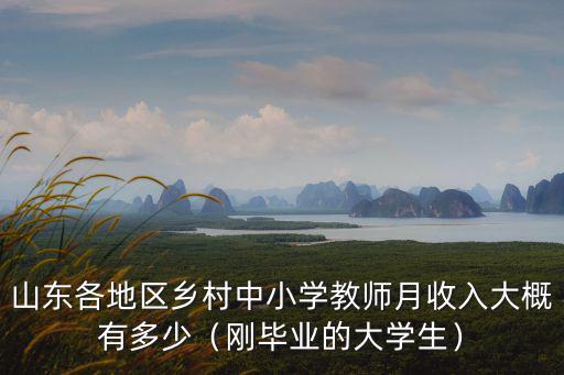 山東各地區(qū)鄉(xiāng)村中小學(xué)教師月收入大概有多少（剛畢業(yè)的大學(xué)生）