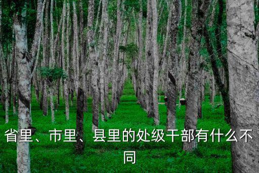 河源市處級(jí)干部有多少,縣里的處級(jí)干部有什么不同