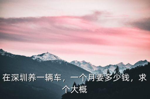 深圳買車一個月多少錢,一個月能存多少錢