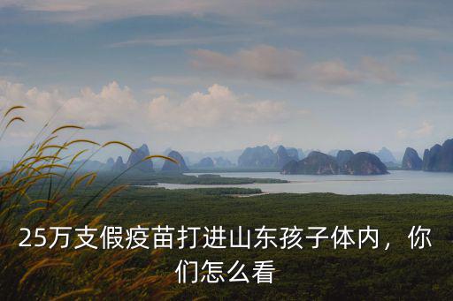 25萬支假疫苗打進山東孩子體內，你們怎么看