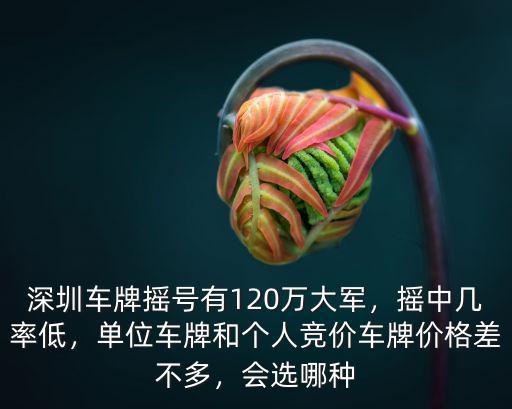 深圳車牌競價在哪里,深圳車牌是怎么競價的