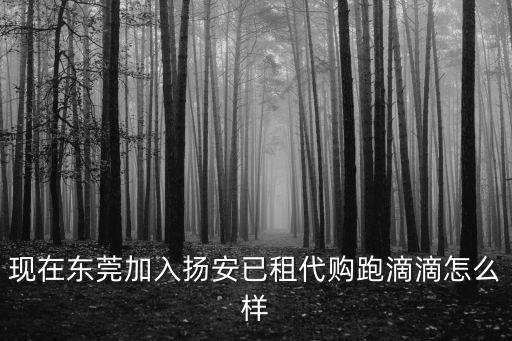 東莞租車跑滴滴怎么最劃算,在東莞跑滴滴發(fā)展前景咋樣