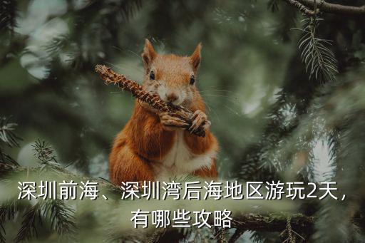 深圳灣前海哪里有海,深圳哪里的海最有人氣