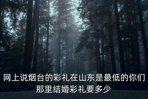 網(wǎng)上說煙臺的彩禮在山東是最低的你們那里結婚彩禮要多少