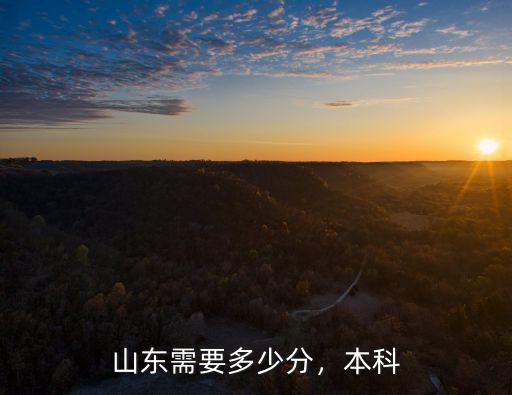 山東博興本科多少分,今年山東多少分能上985