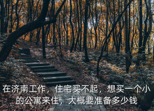 在濟南工作，住宅買不起，想買一個小的公寓來住，大概要準備多少錢