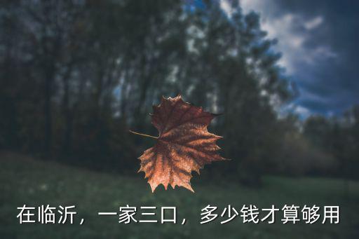 在臨沂，一家三口，多少錢才算夠用