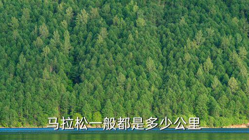 馬拉松一般都是多少公里