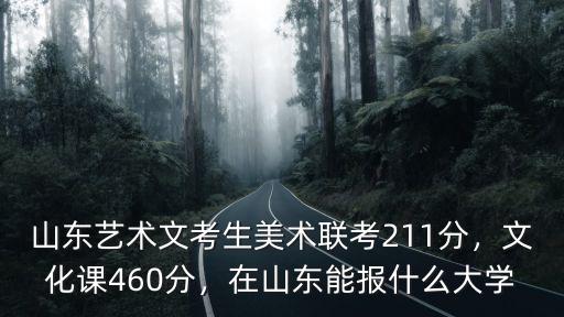 山東美術考生文化課多少分,文化課460分