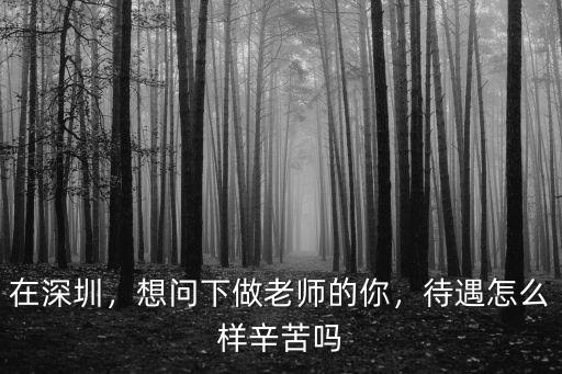 在深圳，想問下做老師的你，待遇怎么樣辛苦嗎