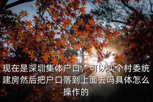 現(xiàn)在是深圳集體戶(hù)口，可以買(mǎi)個(gè)村委統(tǒng)建房然后把戶(hù)口落到上面去嗎具體怎么操作的