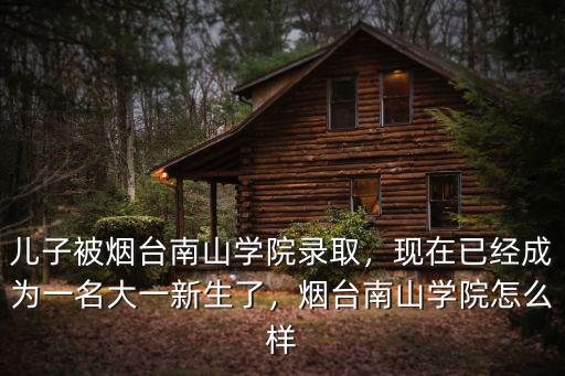 兒子被煙臺南山學院錄取，現在已經成為一名大一新生了，煙臺南山學院怎么樣