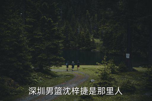 深圳男籃沈梓捷是那里人